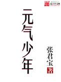 元气少年张君宝